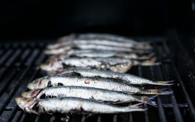 Choosing Sustainable Fish: A Guide to Responsible Seafood